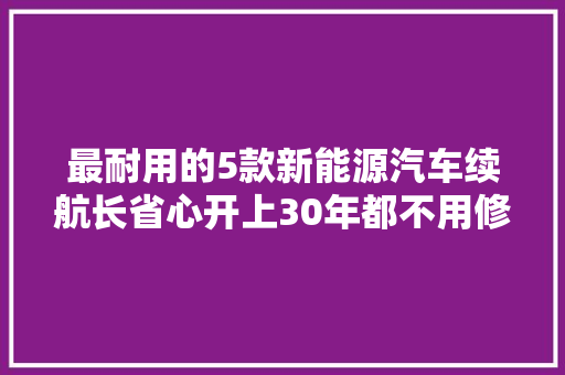 最耐用的5款新能源汽车续航长省心开上30年都不用修