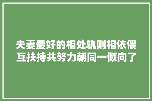 夫妻最好的相处轨则相依偎互扶持共努力朝同一倾向了望