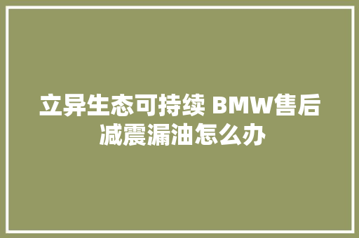 立异生态可持续 BMW售后 减震漏油怎么办