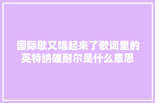 国际歌又唱起来了歌词里的英特纳雄耐尔是什么意思