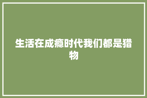 生活在成瘾时代我们都是猎物