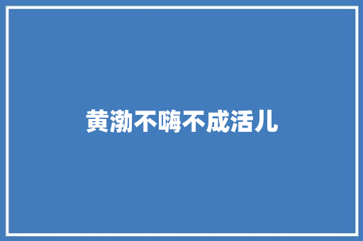 黄渤不嗨不成活儿