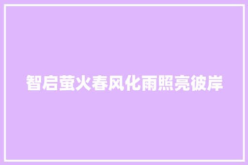 智启萤火春风化雨照亮彼岸