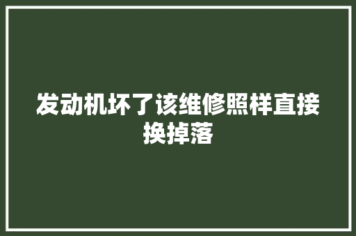 发动机坏了该维修照样直接换掉落 汽车知识