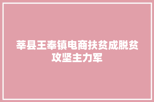 莘县王奉镇电商扶贫成脱贫攻坚主力军
