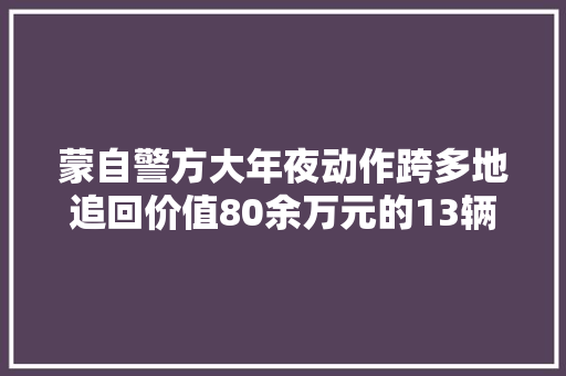 蒙自警方大年夜动作跨多地追回价值80余万元的13辆车