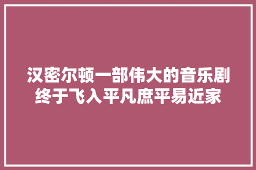 汉密尔顿一部伟大的音乐剧终于飞入平凡庶平易近家