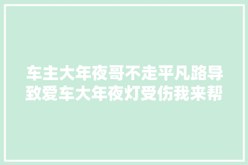 车主大年夜哥不走平凡路导致爱车大年夜灯受伤我来帮他治愈～