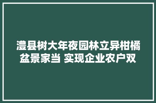 澧县树大年夜园林立异柑橘盆景家当 实现企业农户双赢