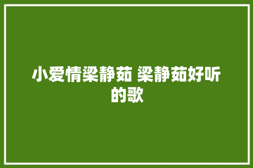 小爱情梁静茹 梁静茹好听的歌