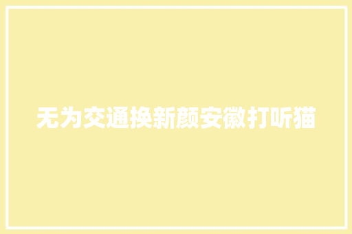无为交通换新颜安徽打听猫