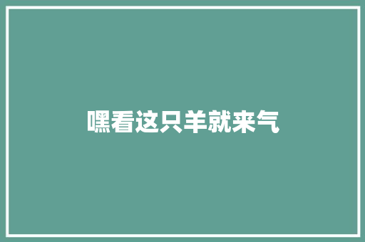嘿看这只羊就来气