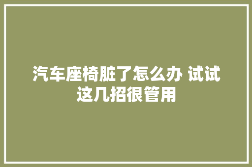 汽车座椅脏了怎么办 试试这几招很管用