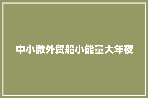中小微外贸船小能量大年夜