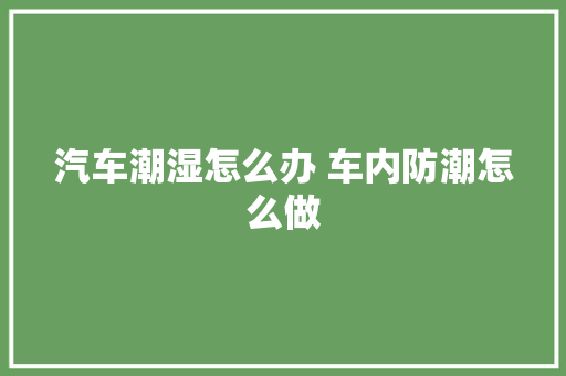 汽车潮湿怎么办 车内防潮怎么做