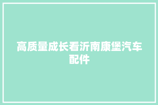 高质量成长看沂南康堡汽车配件