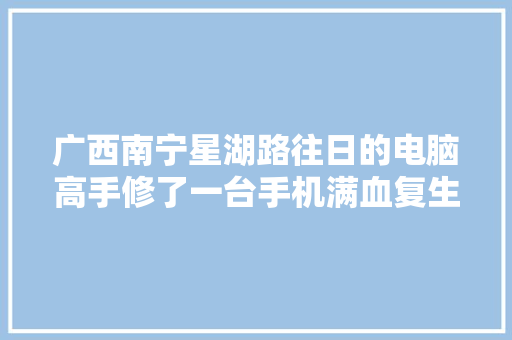 广西南宁星湖路往日的电脑高手修了一台手机满血复生