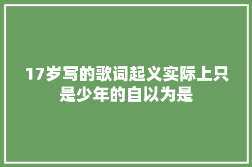 17岁写的歌词起义实际上只是少年的自以为是