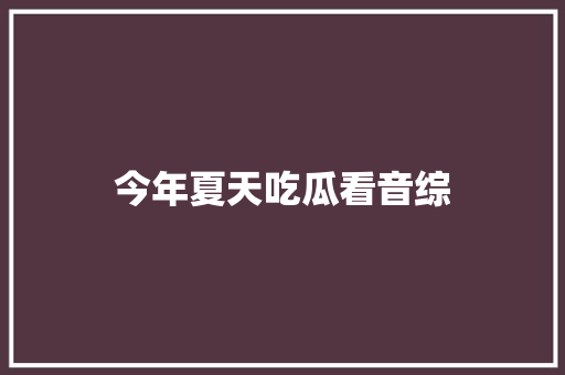 今年夏天吃瓜看音综