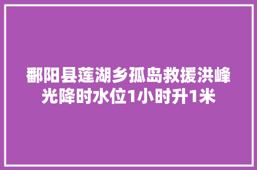 鄱阳县莲湖乡孤岛救援洪峰光降时水位1小时升1米