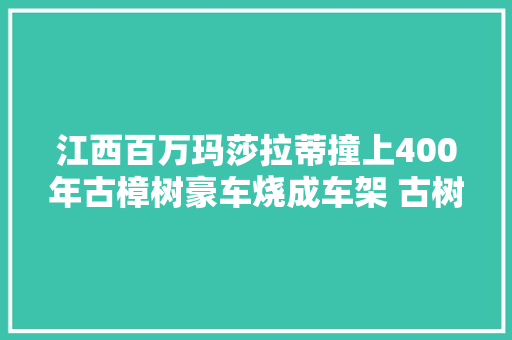 江西百万玛莎拉蒂撞上400年古樟树豪车烧成车架 古树烧了一半