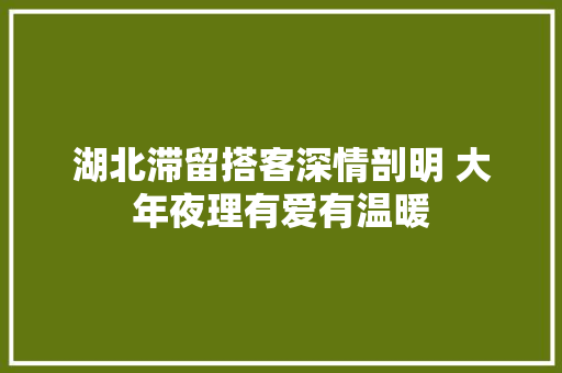 湖北滞留搭客深情剖明 大年夜理有爱有温暖