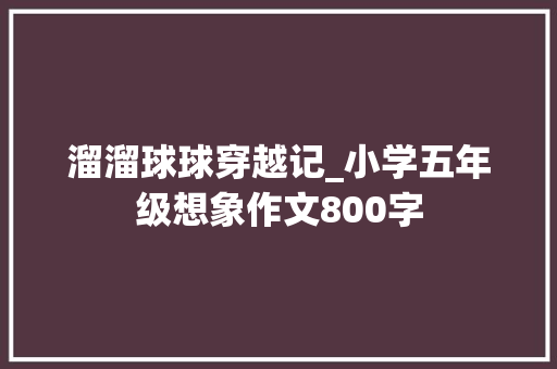 溜溜球球穿越记_小学五年级想象作文800字