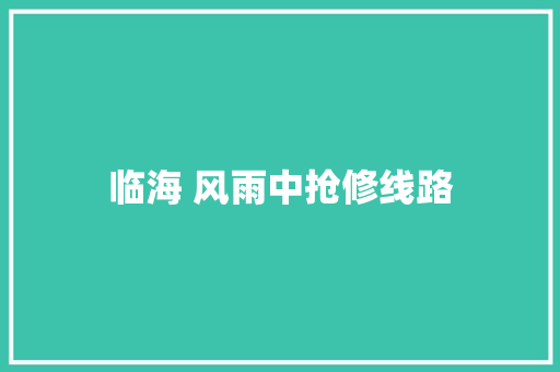 临海 风雨中抢修线路