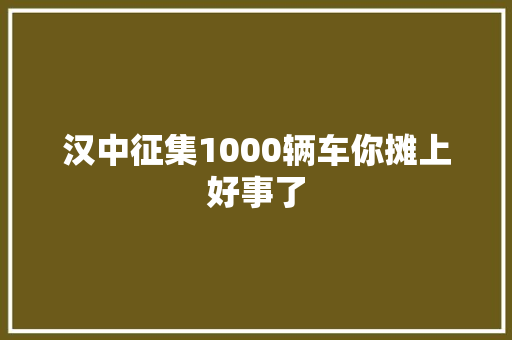 汉中征集1000辆车你摊上好事了