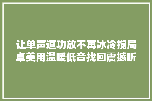让单声道功放不再冰冷搅局卓美用温暖低音找回震撼听感