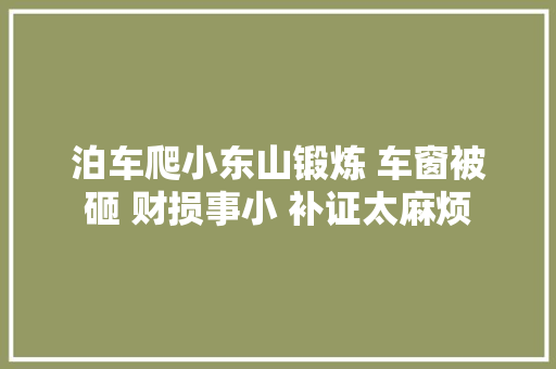 泊车爬小东山锻炼 车窗被砸 财损事小 补证太麻烦