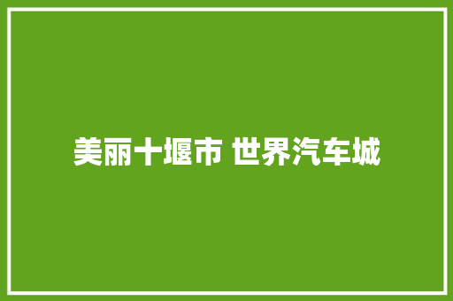 美丽十堰市 世界汽车城