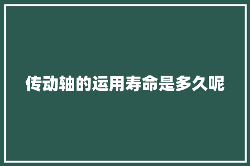 传动轴的运用寿命是多久呢