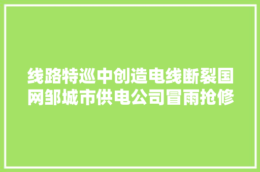 线路特巡中创造电线断裂国网邹城市供电公司冒雨抢修保供电