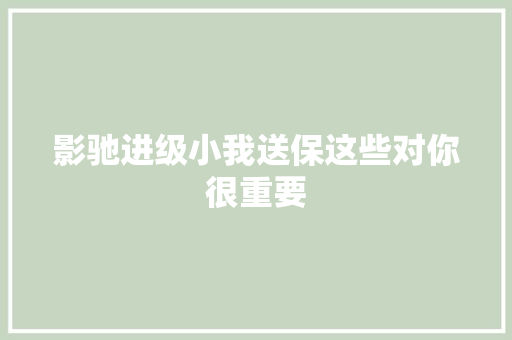 影驰进级小我送保这些对你很重要