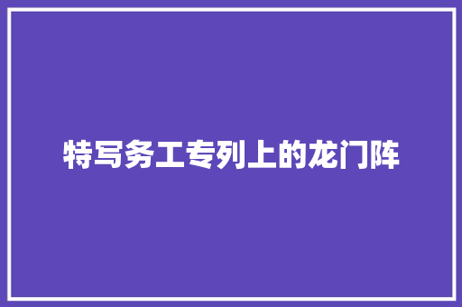 特写务工专列上的龙门阵
