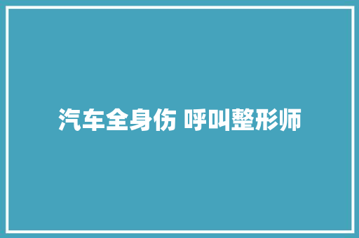 汽车全身伤 呼叫整形师