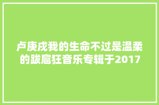 卢庚戌我的生命不过是温柔的跋扈狂音乐专辑于2017年制作发行