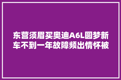 东营须眉买奥迪A6L圆梦新车不到一年故障频出情怀被摔得破裂摧毁