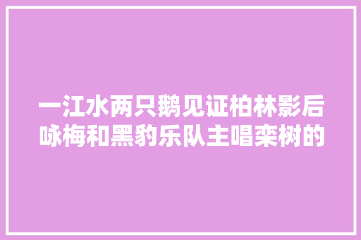 一江水两只鹅见证柏林影后咏梅和黑豹乐队主唱栾树的爱情