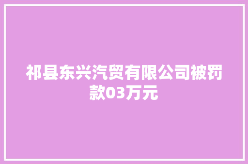 祁县东兴汽贸有限公司被罚款03万元