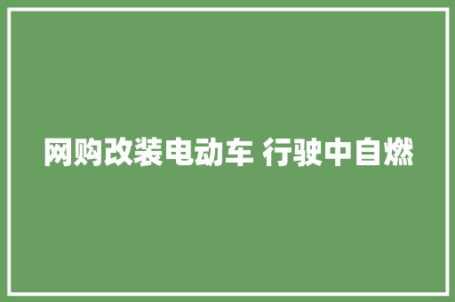 网购改装电动车 行驶中自燃