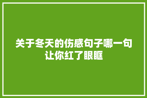 关于冬天的伤感句子哪一句让你红了眼眶