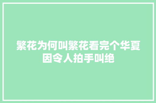 繁花为何叫繁花看完个华夏因令人拍手叫绝