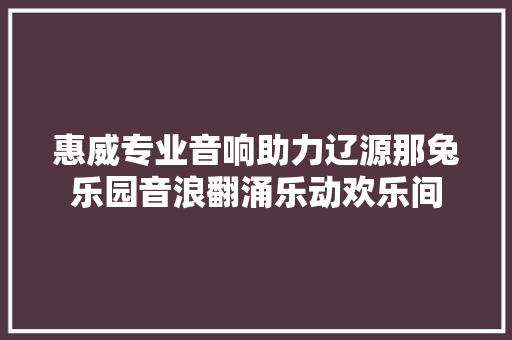 惠威专业音响助力辽源那兔乐园音浪翻涌乐动欢乐间