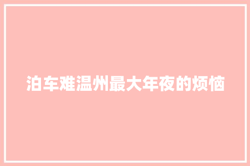 泊车难温州最大年夜的烦恼
