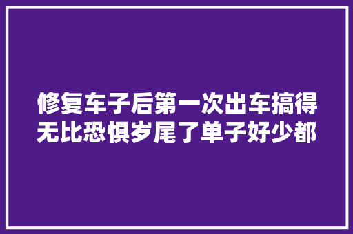 修复车子后第一次出车搞得无比恐惧岁尾了单子好少都去哪了
