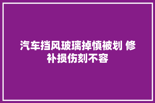 汽车挡风玻璃掉慎被划 修补损伤刻不容
