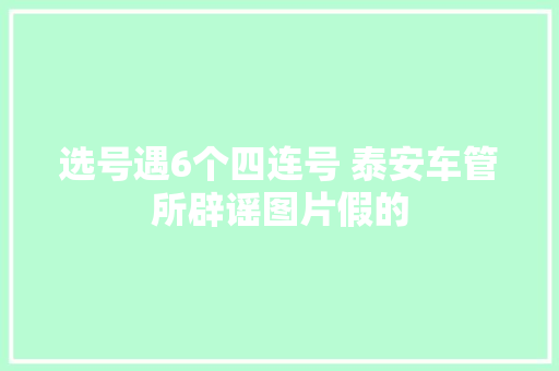 选号遇6个四连号 泰安车管所辟谣图片假的