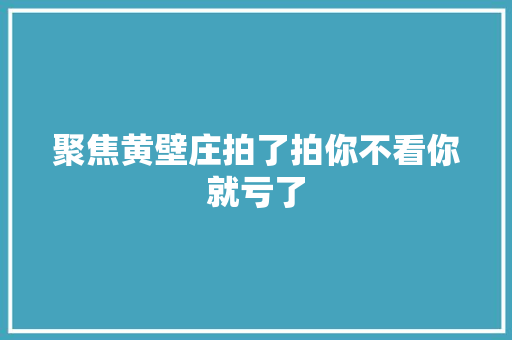 聚焦黄壁庄拍了拍你不看你就亏了